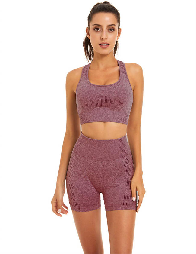 Women Seamless Yoga Workout Set 2 Piece Outfits Gym Shorts Sports Bra